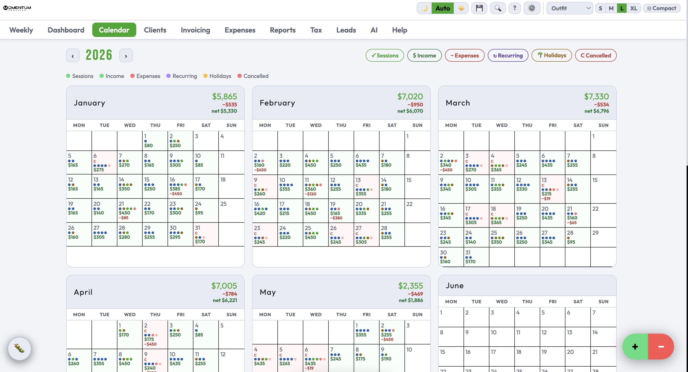 Momentum business calendar on desktop — showing full year overview with income, expenses and sessions by day